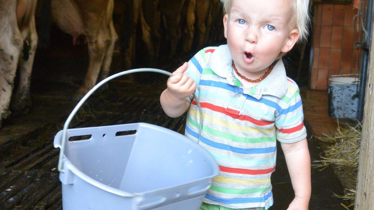 bei der Stallarbeit bei der Stallarbeit